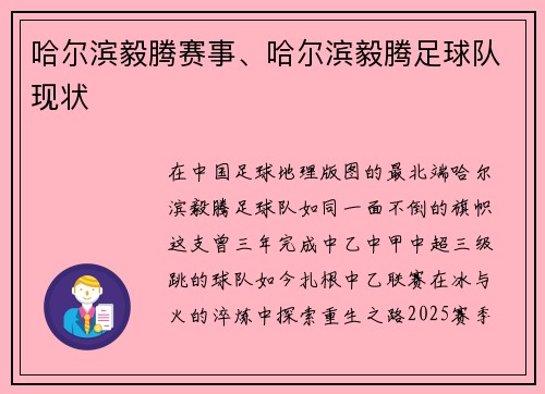 哈尔滨毅腾赛事、哈尔滨毅腾足球队现状
